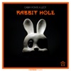 Rabbit Hole - Single