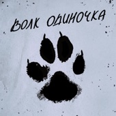 Волк одиночка artwork