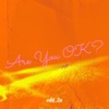 edit_2u - Are You OK?