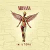 In Utero (20th Anniversary Edition) album lyrics, reviews, download