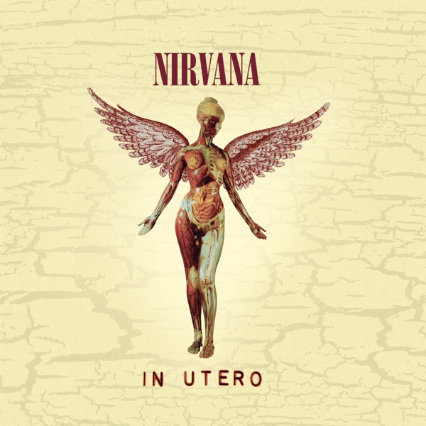 In Utero (20th Anniversary Edition) - Nirvana