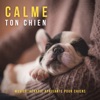 Calme ton chien - Musicothérapie apaisante pour chiens, calmer leur anxiété et les aider à dormir