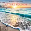 The Best of High Quality Nature Sounds With Ocean Waves, Rain, Birds, Creek & Forest album lyrics, reviews, download