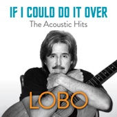 If I Could Do It Over The Acoustic Hits artwork