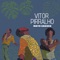 Mato grosso - Vitor Pirralho lyrics