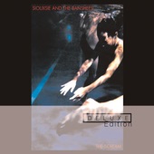 Siouxsie And The Banshees - Hong Kong Garden