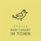New Canary In Town - Zoozzy lyrics