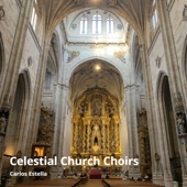 Celestial Church Choirs artwork