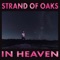 Carbon - Strand of Oaks lyrics