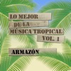 Lo Mejor de la Música Tropical, Vol. 1