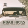 I Can Tell You're Small Town - Single