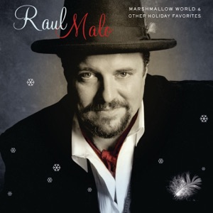 Raul Malo - Not So Merry Christmas - Line Dance Musique