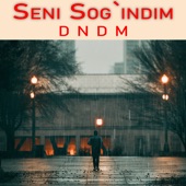 Seni Sog'indim artwork