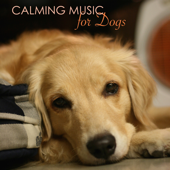 Calming Music for Dogs - Pet Music World