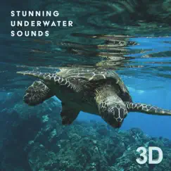 Stunning Underwater Sounds 3D: Nature Relaxation by Matt Chanting, Jane Peace & Julie Riviera album reviews, ratings, credits
