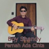 Pernah Ada Cinta - Single