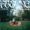 Feeling - Single album lyrics, reviews, download