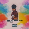 Nice To Meet You - Single