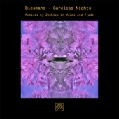 Careless Nights (Tjade Remix) artwork