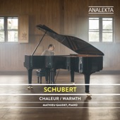 Schubert: The Complete Sonatas and Major Piano Works, Vol. 5 – Warmth artwork