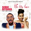 Na Big Love (feat. Yemi Alade) - Single