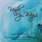 Under My Wings (Live) artwork