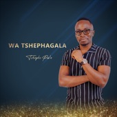 Wa Tshephagala artwork