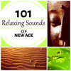 Relaxing Sounds of New Age 101 - Healing Affirmations, Mindfulness and Serenity Spa Music, Sleep Deep meditation, Fulfilled Meditation - Relaxing Sounds Guru, Mindfulness Meditation Music Spa Maestro & Deep Sleep Relaxation Universe