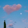 Love in the Sky - Single