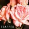 Trapped (feat. Kaysie Marie) artwork