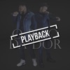 O Peso da Dor (Playback) - Single