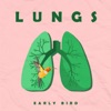 Lungs - Single