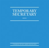 Temporary Secretary (DJ Mix) artwork
