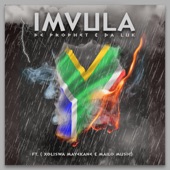 iMvula artwork