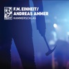 Hammerschlag (feat. Andreas Ammer)