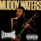 Muddy Waters - L.A. Slvmdxwgs lyrics