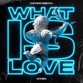 What Is Love (Devan Remix) artwork