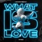 What Is Love (Devan Remix) artwork