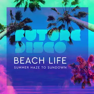 Future Disco: Beach Life 2.0 by Various Artists album reviews, ratings, credits