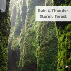 Stormy Forest by Rain & Thunder album reviews, ratings, credits