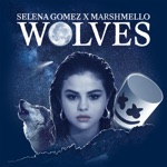 Wolves by Selena Gomez & Marshmello