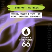 Turn up the Bass (feat. Gabriele Bolognesi) artwork