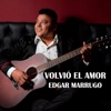 Volvió El Amor - Single