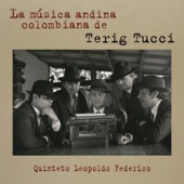 La Música Andina Colombiana De Terig Tucci artwork