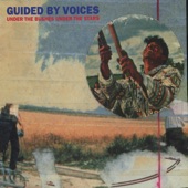 Guided By Voices - Lord of Overstock