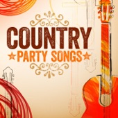 Country Party Songs artwork