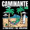 Caminante Dub (J Wiz Dub) [J Wiz Dub] - Single album lyrics, reviews, download