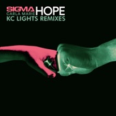 Hope (KC Lights Remix Extended) artwork