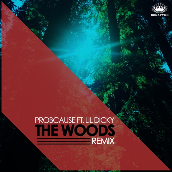 The Woods (feat. Lil Dicky) [Remix] - Single - Probcause