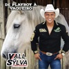 De Playboy a Vaqueiro - Single